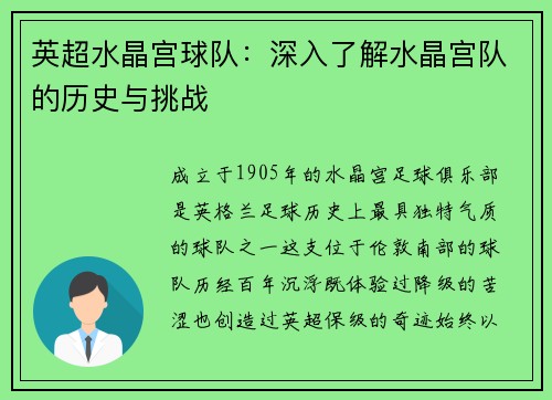 英超水晶宫球队：深入了解水晶宫队的历史与挑战